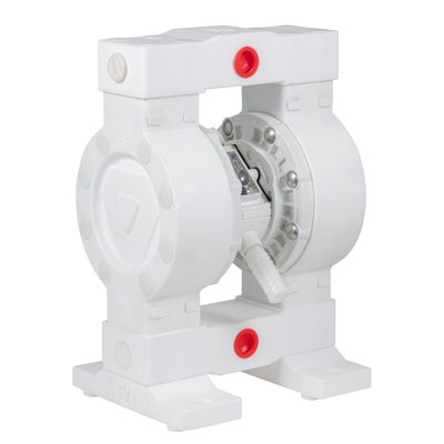 Pompy diafragmowe RV PTFE 36lpm Maksymalny przepływ 100psi Ciśnienie