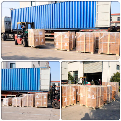 2 cali elektryczna pompa membranowa z silnikiem przeciwwybuchowym 10,5 m3/h Przepływ dla zastosowań niskiego ciśnienia