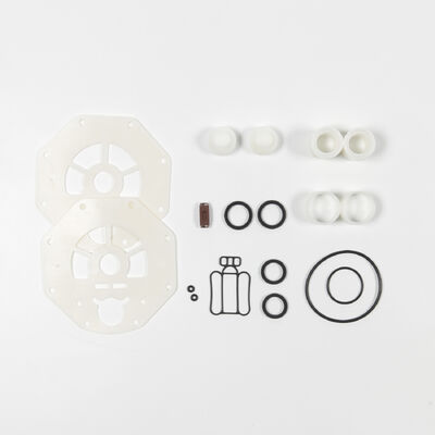 3-calowa pompa membranowa AODD z żeliwną konstrukcją i przepływem 270 GPM do zastosowań przemysłowych